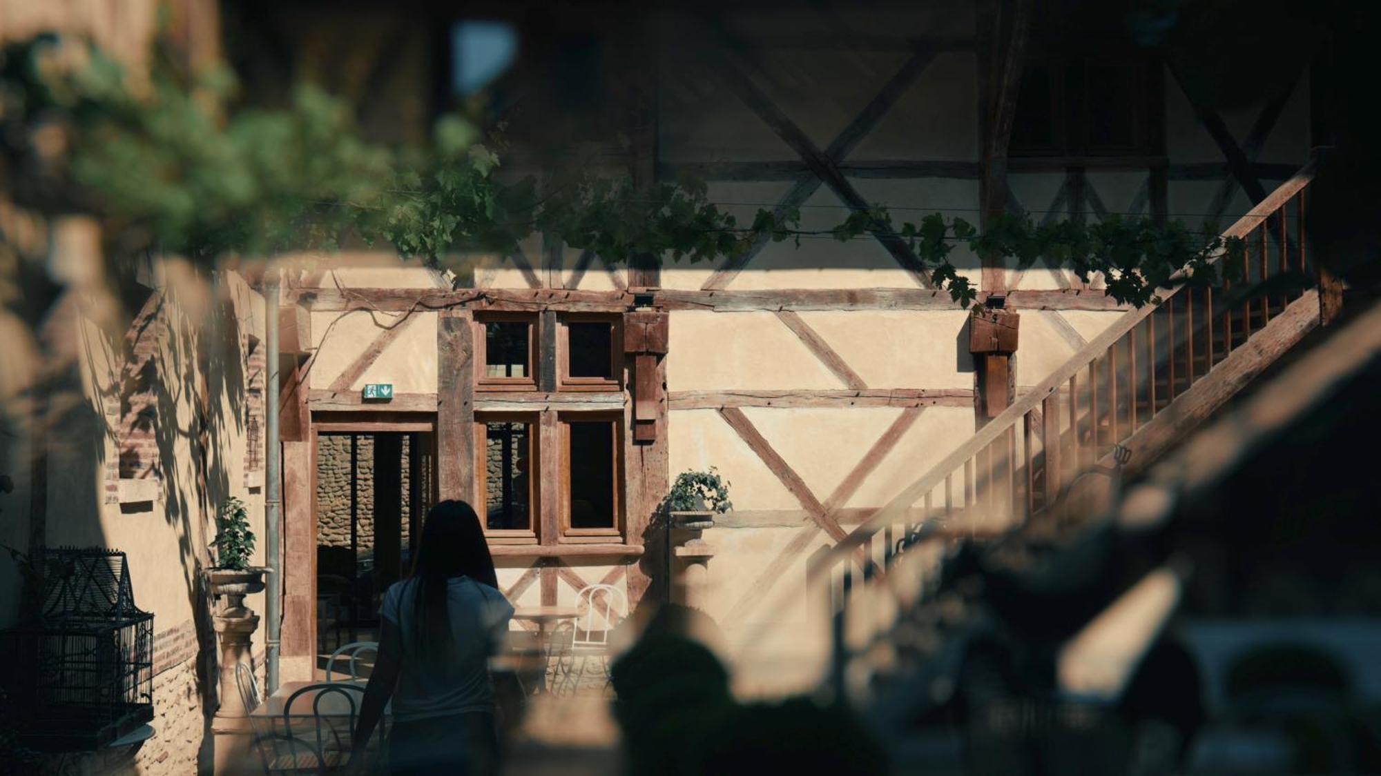 Le Champ Des Oiseaux Hotel & Spa Троа Екстериор снимка